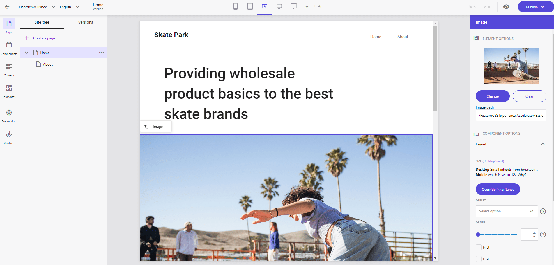 Sitecore Pages